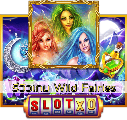 รีวิวเกม Wild Fairies