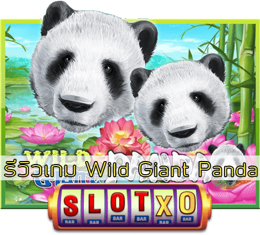 รีวิวเกม Wild Giant Panda