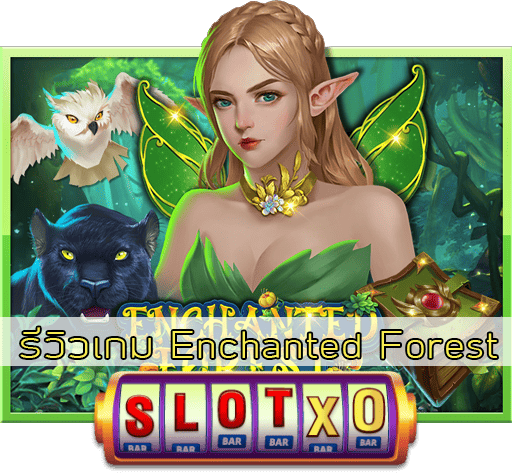 รีวิวเกม Enchanted Forest