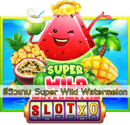 รีวิวเกม Super Wild Watermelon